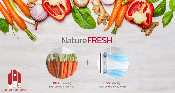 یخچال فریزر ال جی GR-X260JSGW