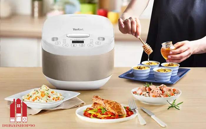 مولتی کوکر تفال RK6221