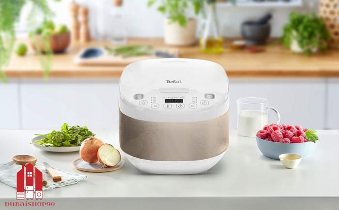 مولتی کوکر تفال RK6221