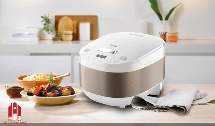 مولتی کوکر تفال RK6221